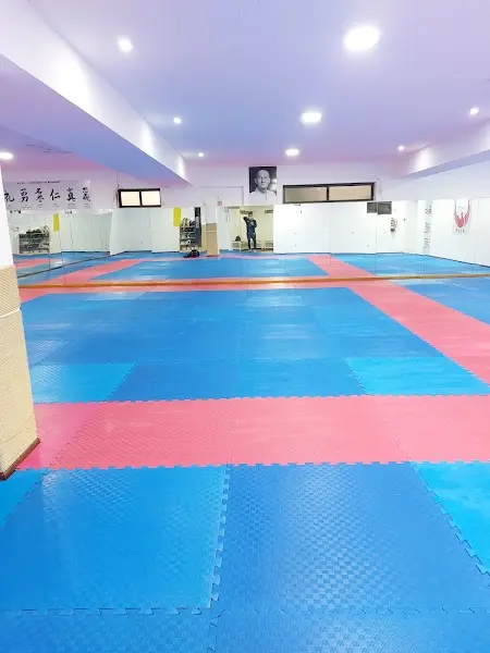 Clube de Karaté Wado Ryu do Centro Social de Vila Nova de Sande - AJKP