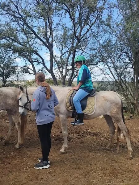 Aldeia dos Cavalos / Horse Village