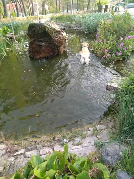 Recreativo de Bassar - Associação Desportiva e Cultural