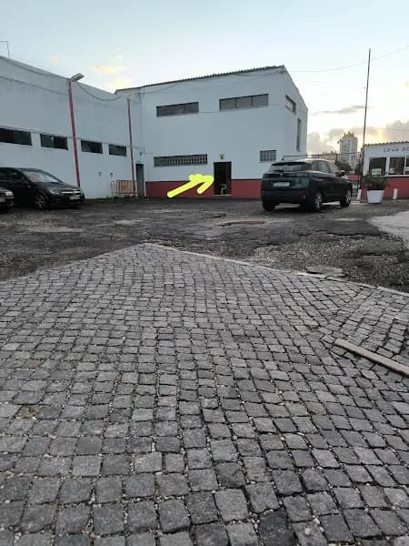 Taekwondo Clube Futebol Benfica fofó