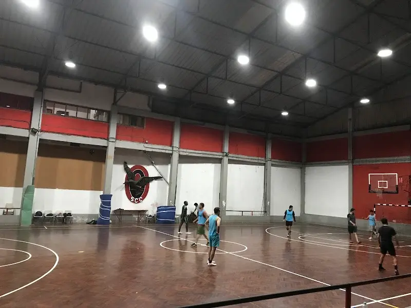 Pavilhão da Palmeira