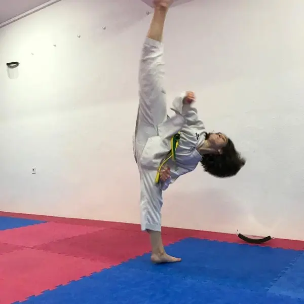 Taebaek Triângulo Taekwondo