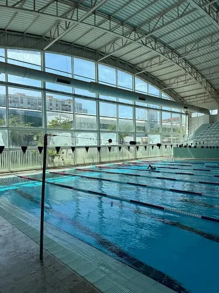 Piscina Municipal das Palmeiras