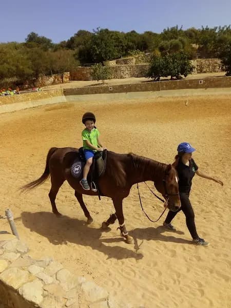 Associação Cultural e Desportiva CHE Lagoense