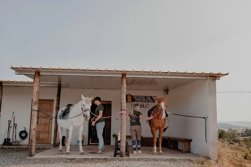Quinta Da Perdigota