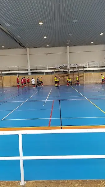 CFO Clube Futsal Oeiras