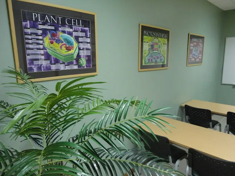 Centro de Explicações Sine Dubio