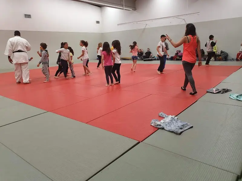 Associação De Judo Do Distrito De Viana Do Castelo