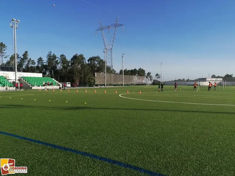 Academia Desportiva U.F. Parceiros e Azoia – A.F. Leiria