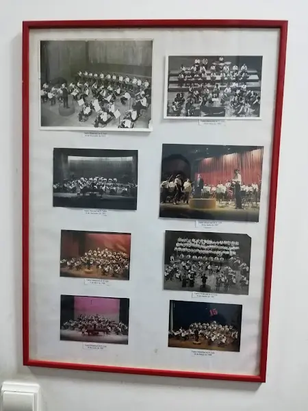 Orquestra Sinfónica Juvenil