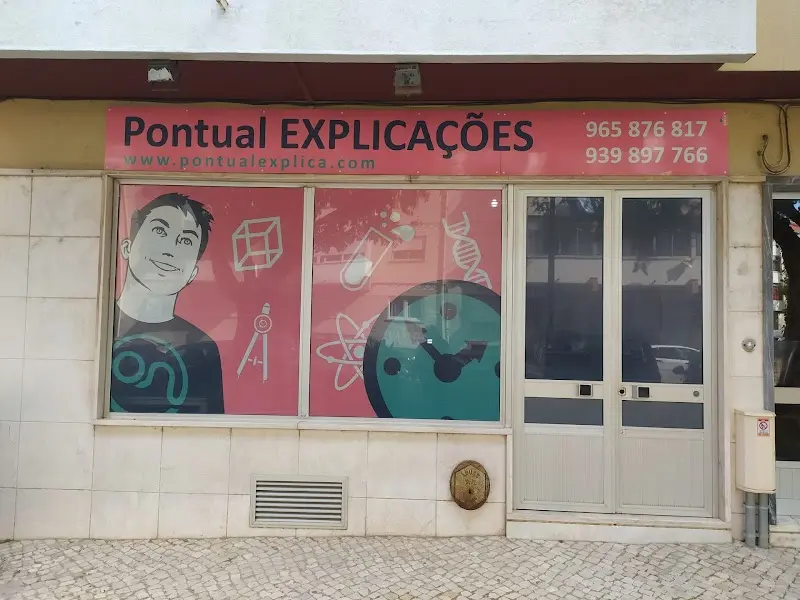 Pontual Evolution - Explicações