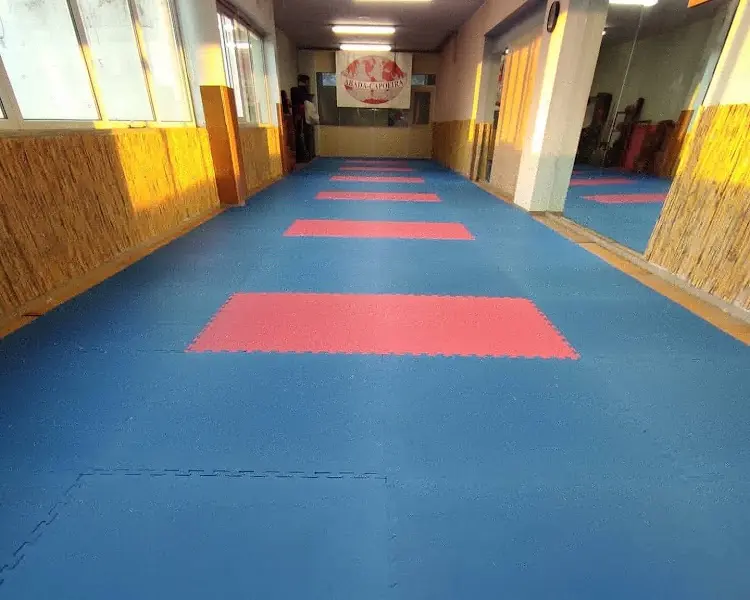 ABADÁ Capoeira Porto