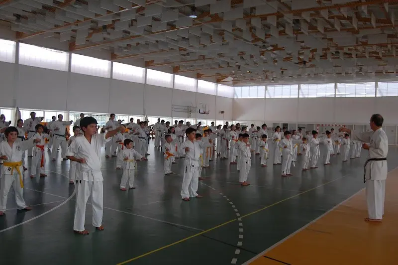 Karaté de Okinawa Goju-ryu shodokan