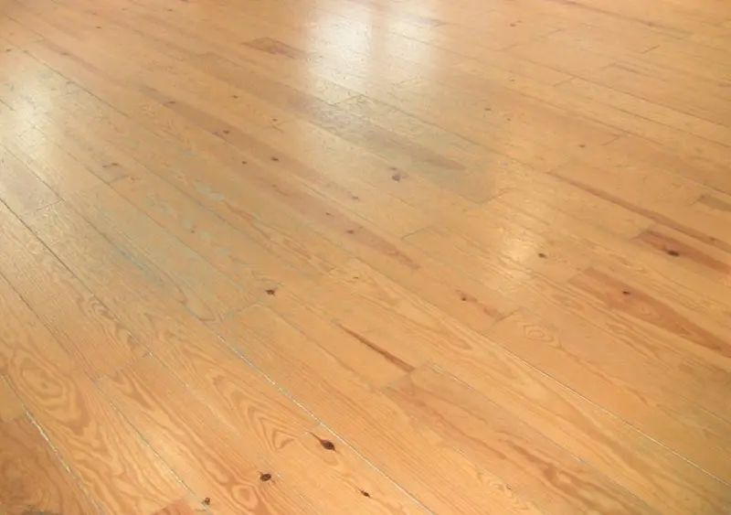 Escola de Dança Raquel Oliveira - EDRO