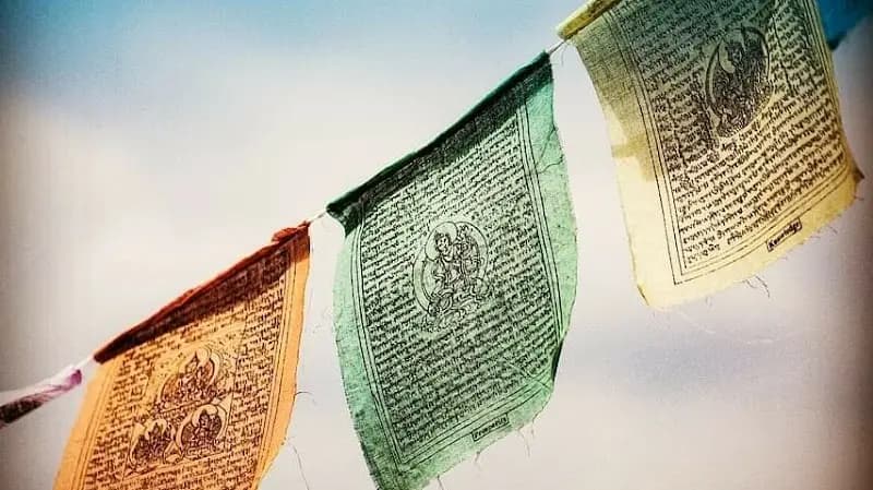 AKMD Associação | Talidade